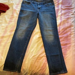 American Eagle Outfitters jeans Size 16 HiRise Straight
